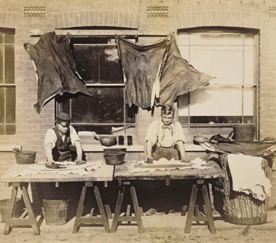 Teñido de cuero para hacer guantes, Bevington and Sons, 1861-62 de English Photographer
